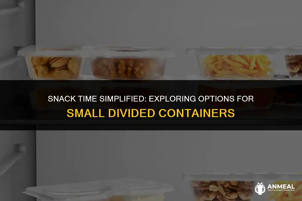 do they make small divided snack containers