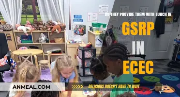 Exploring GSRP and ECEP Lunch Provisions: A Comprehensive Guide