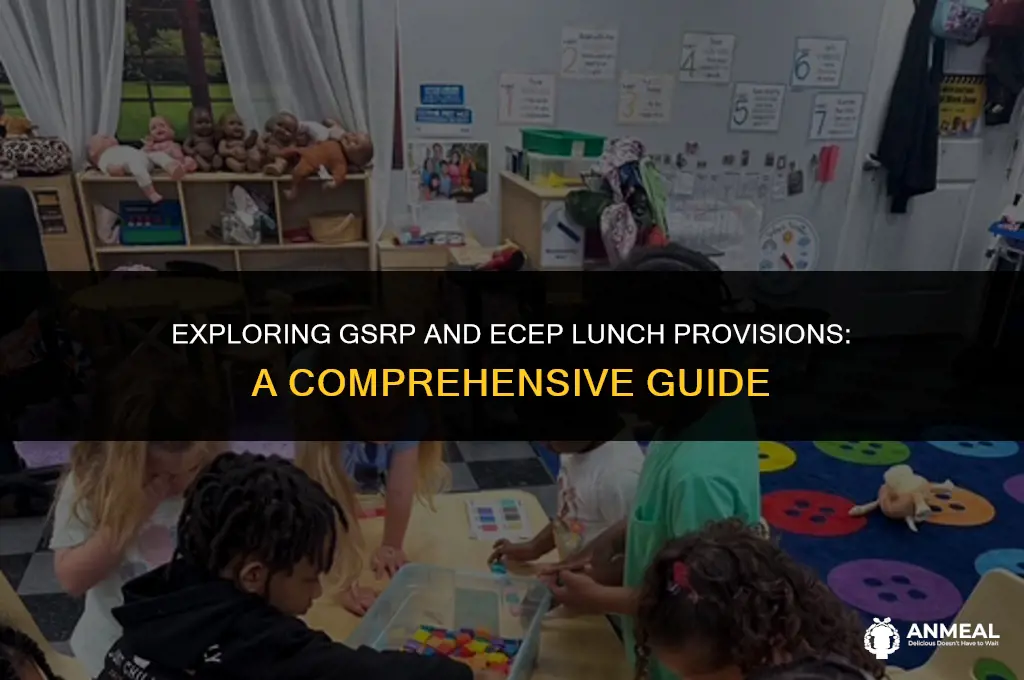 do they provide them with lunch in gsrp in ecec