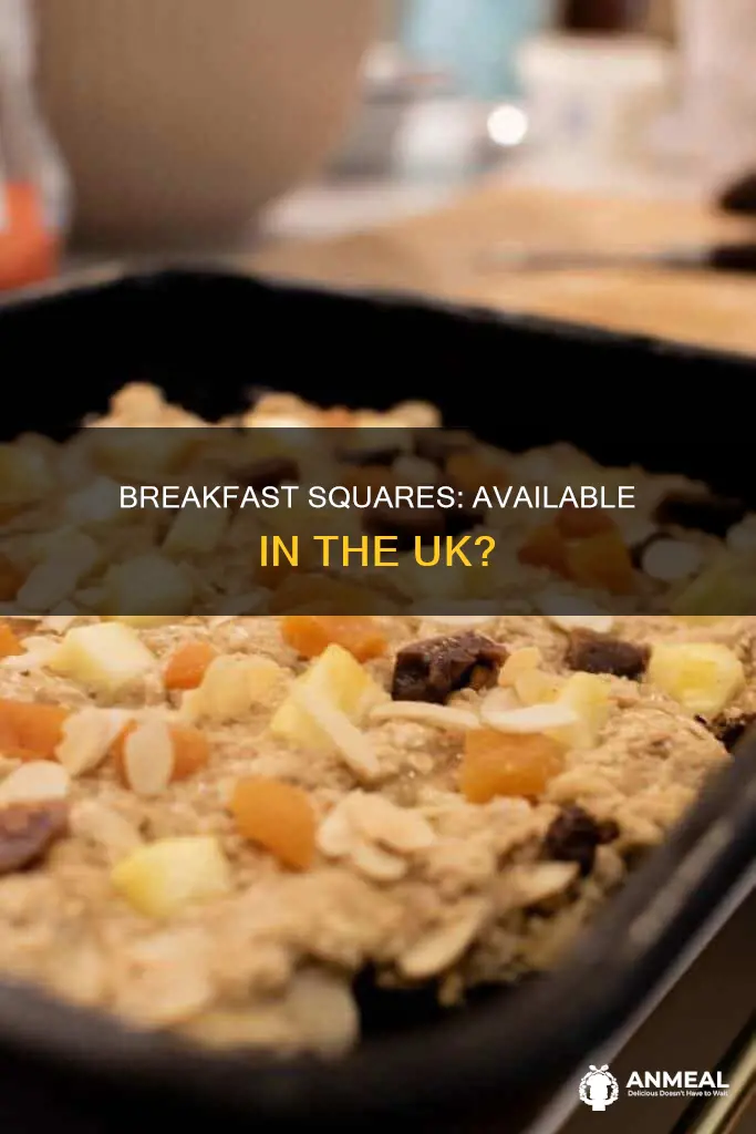 do they sell breakfast sqyares in the uk