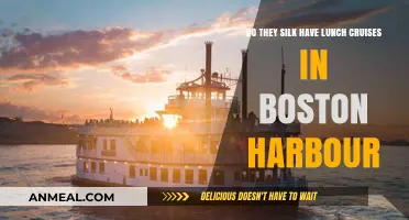 Exploring Boston Harbor: A Guide to Silk Lunch Cruises