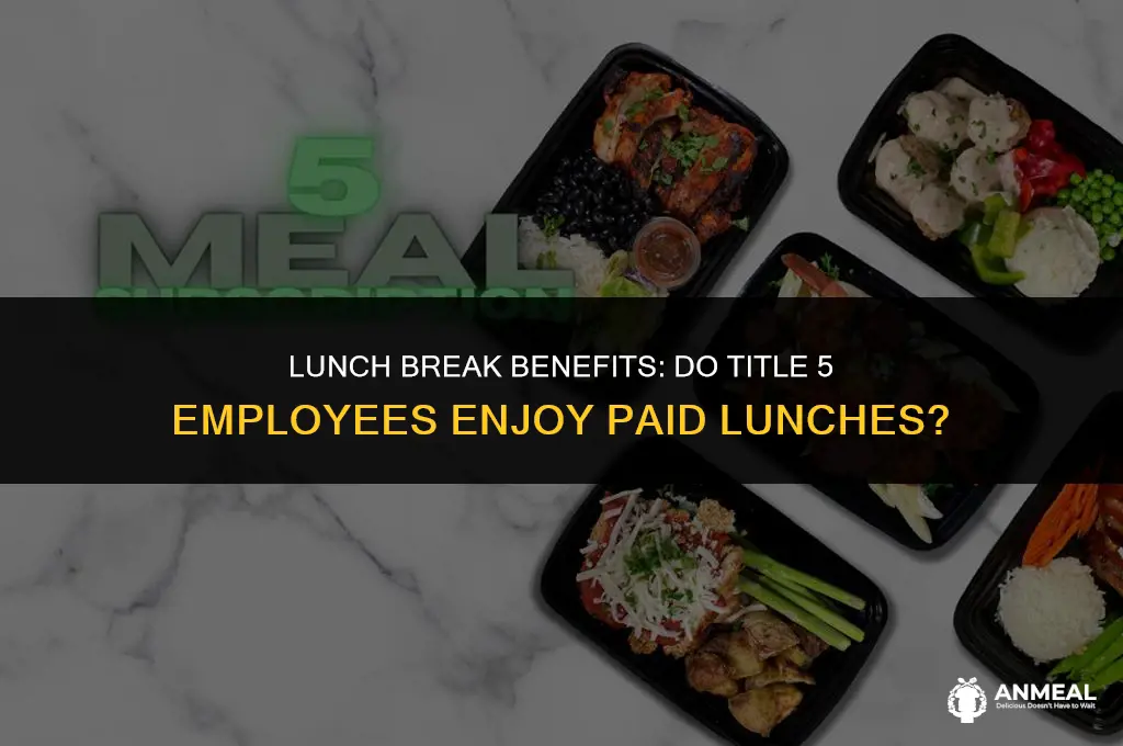 do title 5 employees get paid lunches