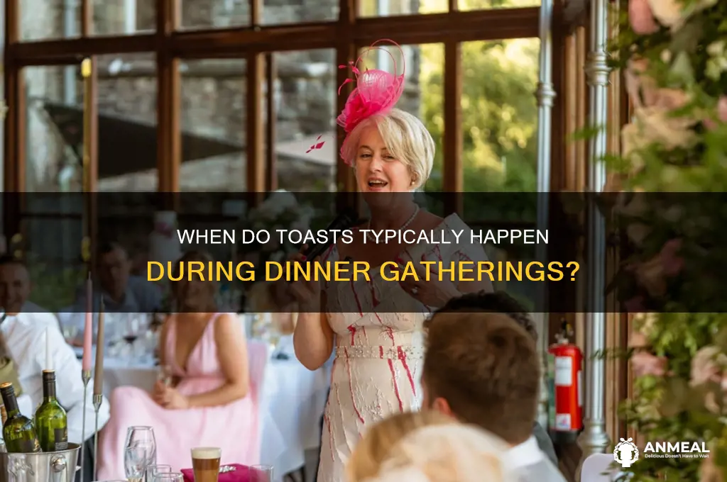 do toasts haopen during dinner