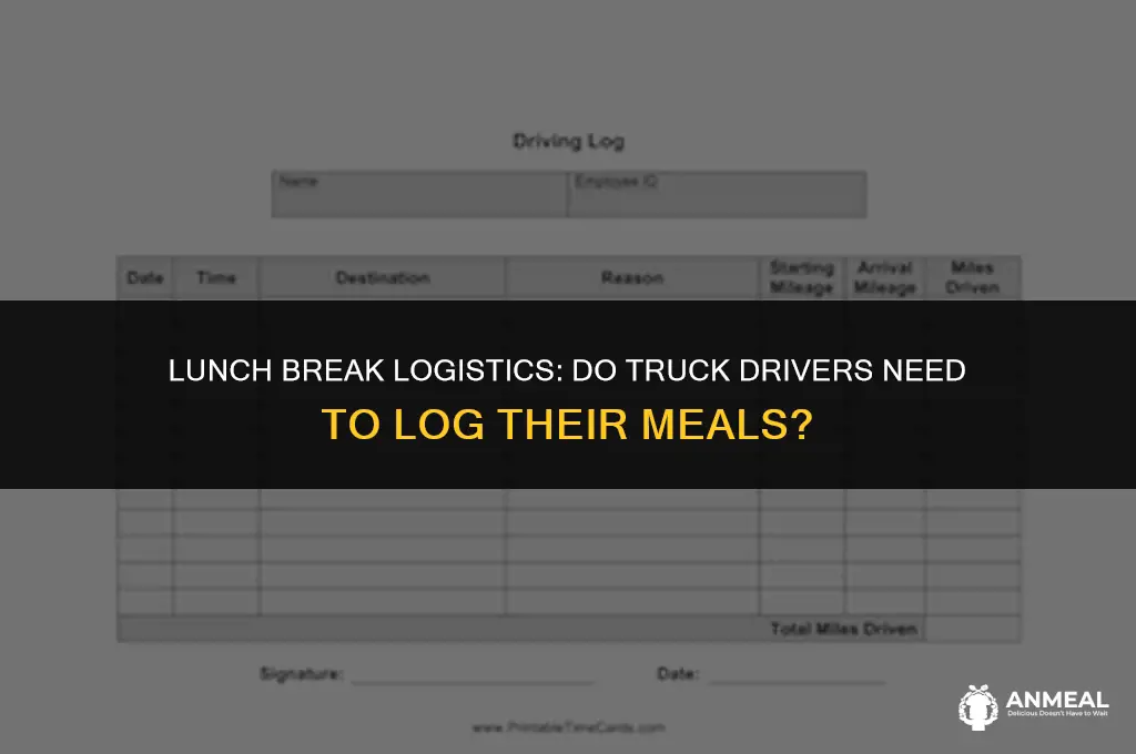 do truck drivers need to log lunches