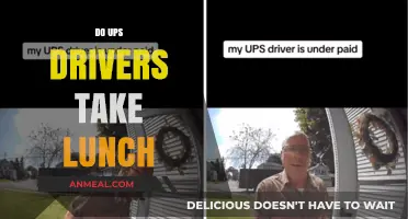 Do UPS Drivers Take Lunch Breaks? Exploring Their Work Schedules