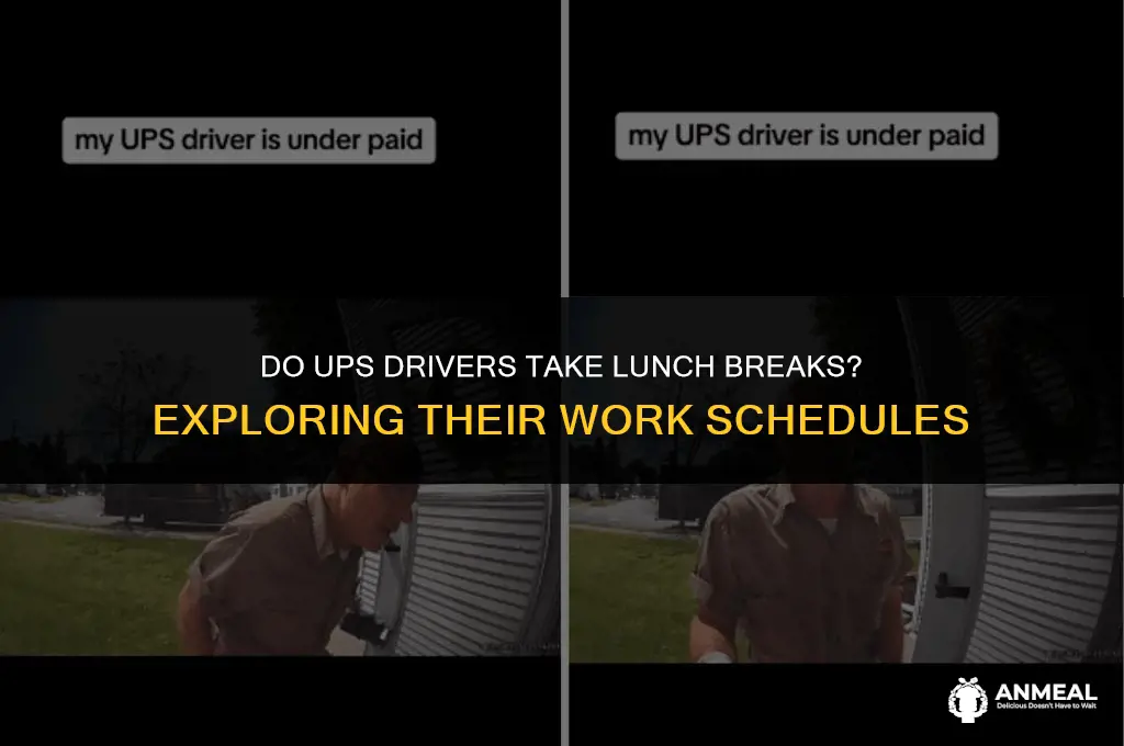 do ups drivers take lunch