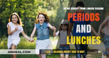 Optimizing School Schedules: The Impact of Extended Passing Periods and Lunch Breaks