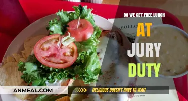 Free Lunch at Jury Duty: What to Expect During Your Service