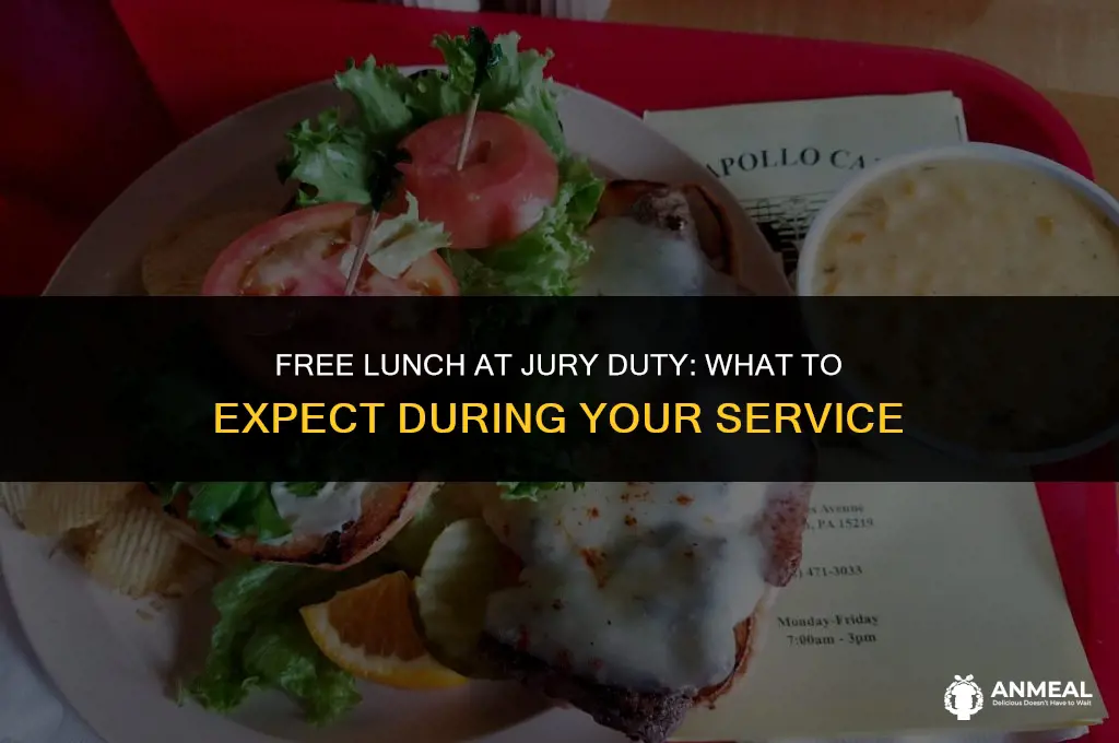 do we get free lunch at jury duty