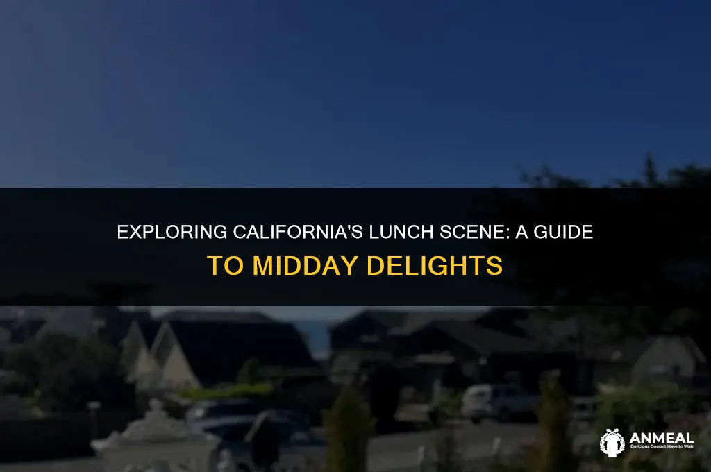 do we need to take a lunch in cali