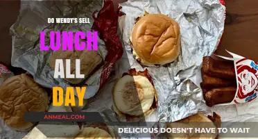 Savoring Flexibility: Wendy's All-Day Lunch Menu Explored