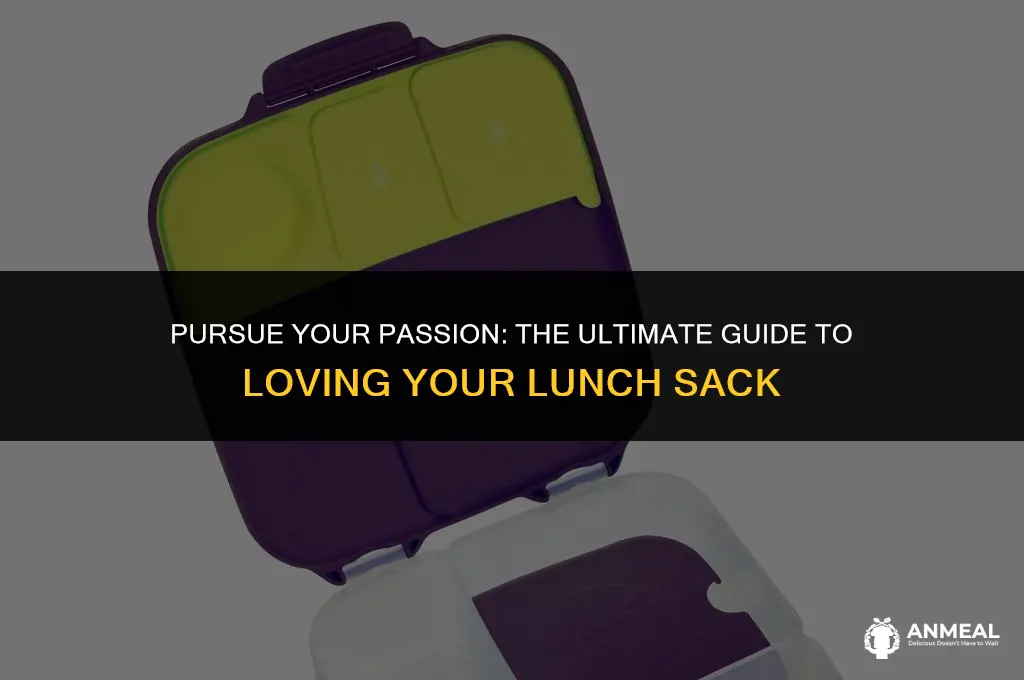 do what you love lunch sack
