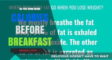 Morning Workouts: Burning Calories Before Breakfast