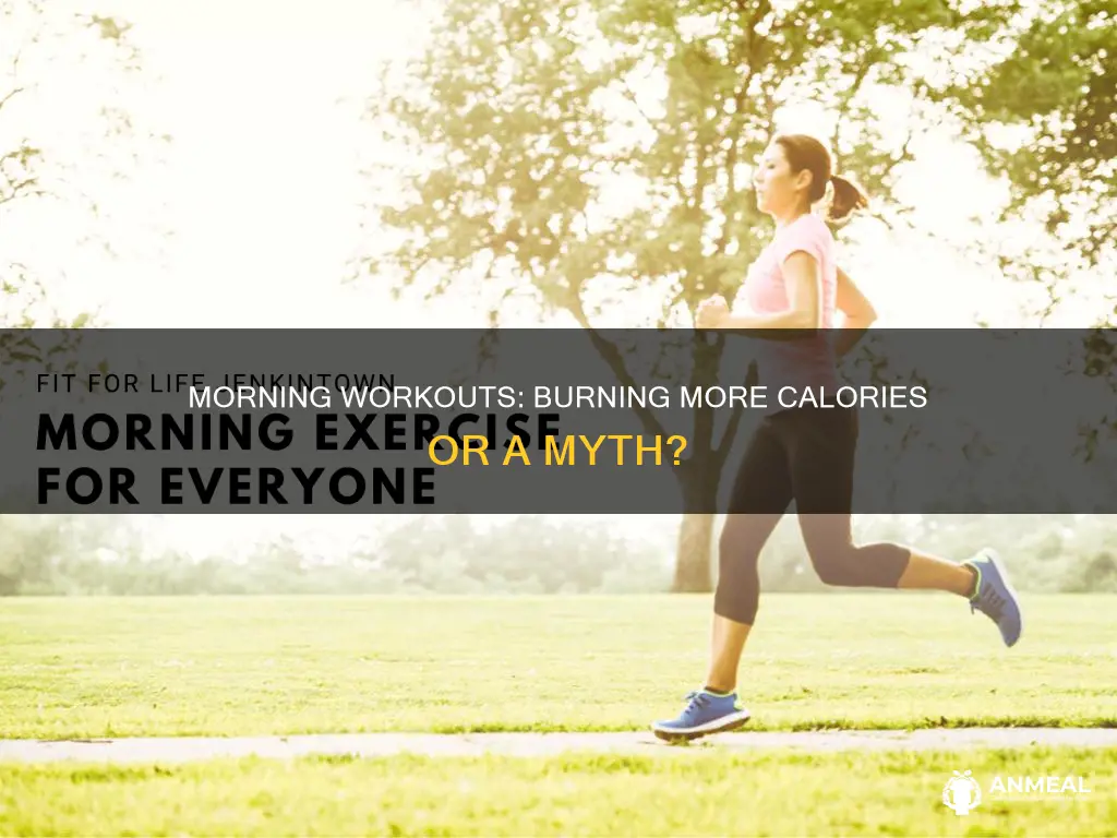 do you burn more calories in morning