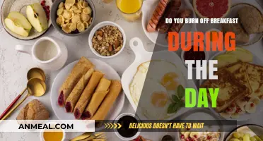 Morning Fuel: Burning Breakfast Calories Throughout the Day