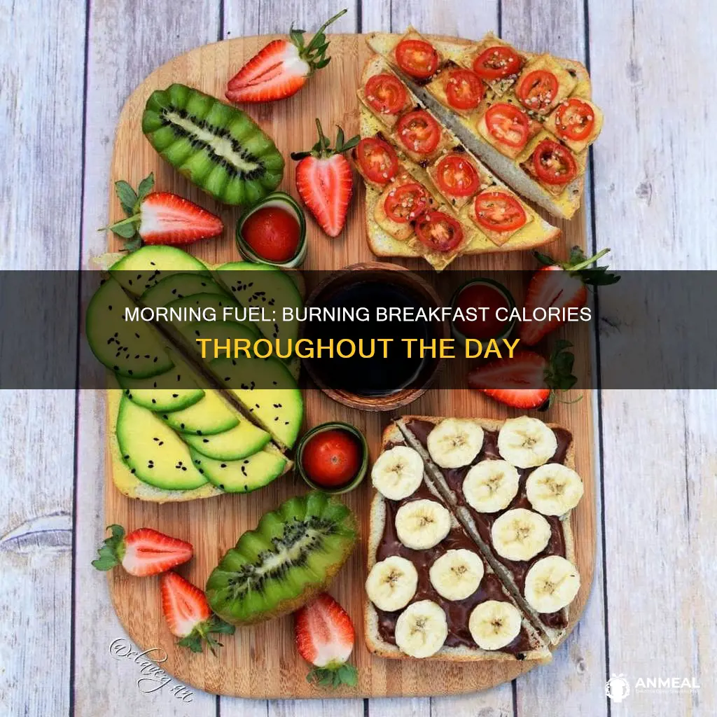 do you burn off breakfast during the day