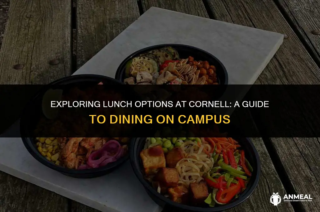 do you check out for lunch cornell