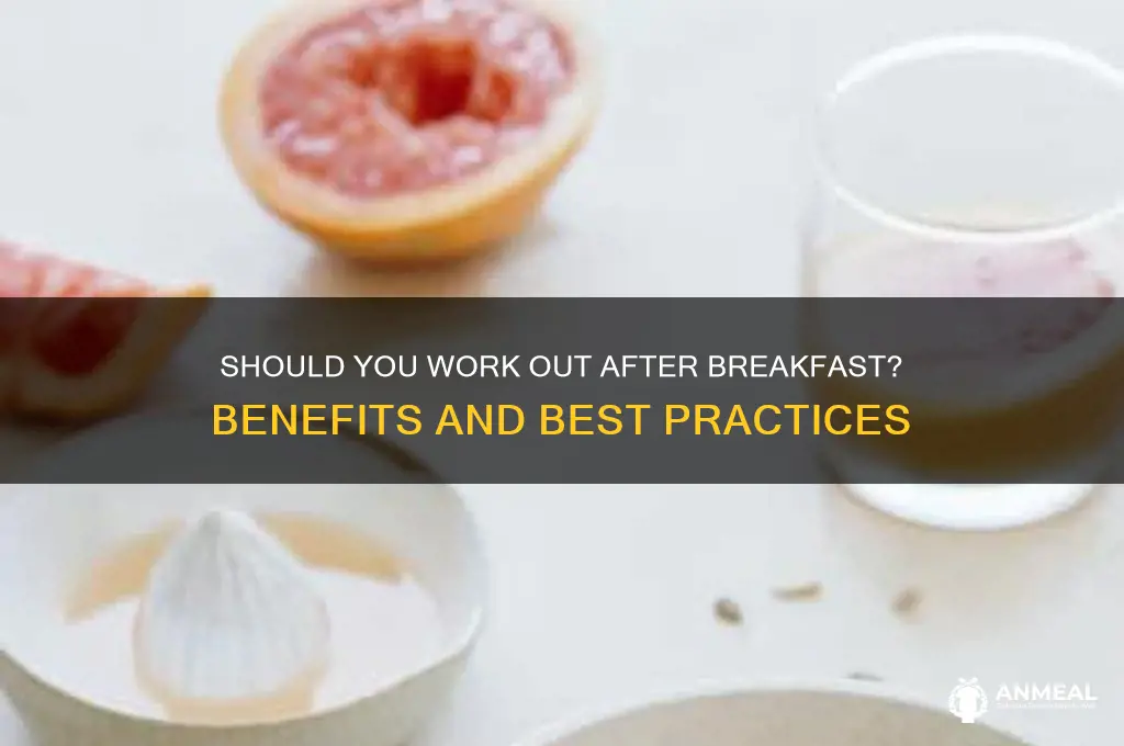 do you exercise after breakfast
