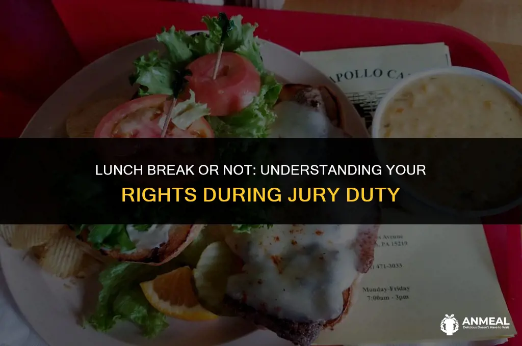 do you get a lunch vouture on jury duty