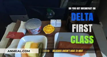 Delta First Class: What's for Breakfast?