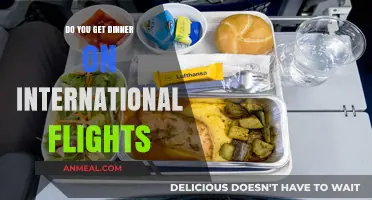 Do International Flights Include Dinner? A Guide for Travelers