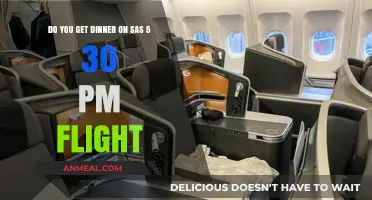 SAS 5:30 PM Flight: Does Dinner Service Come Included?