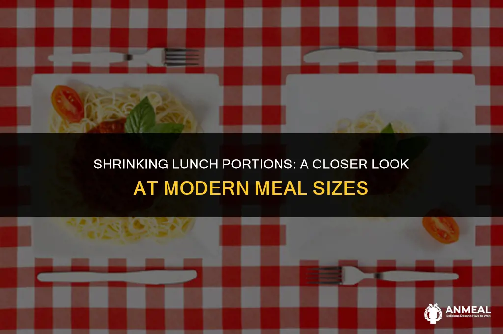 do you get less food for lunch