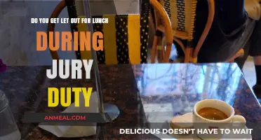 Lunch Break or Not: The Jury Duty Dilemma