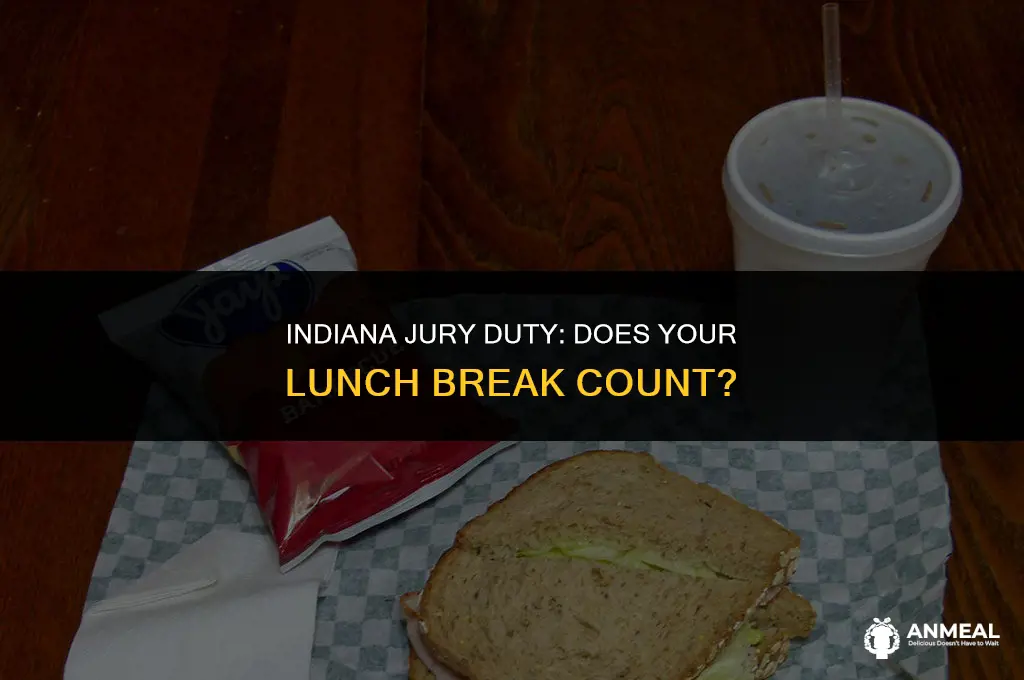 do you get lunch at jury duty indiana