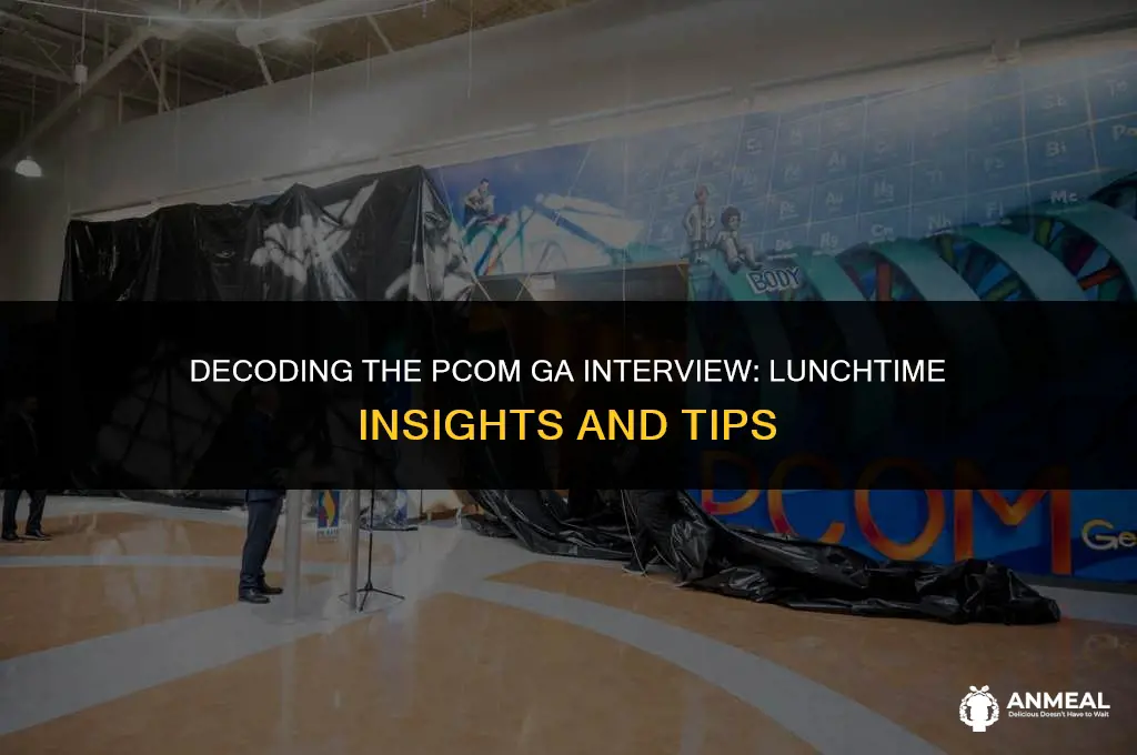 do you get lunch at pcom ga interview