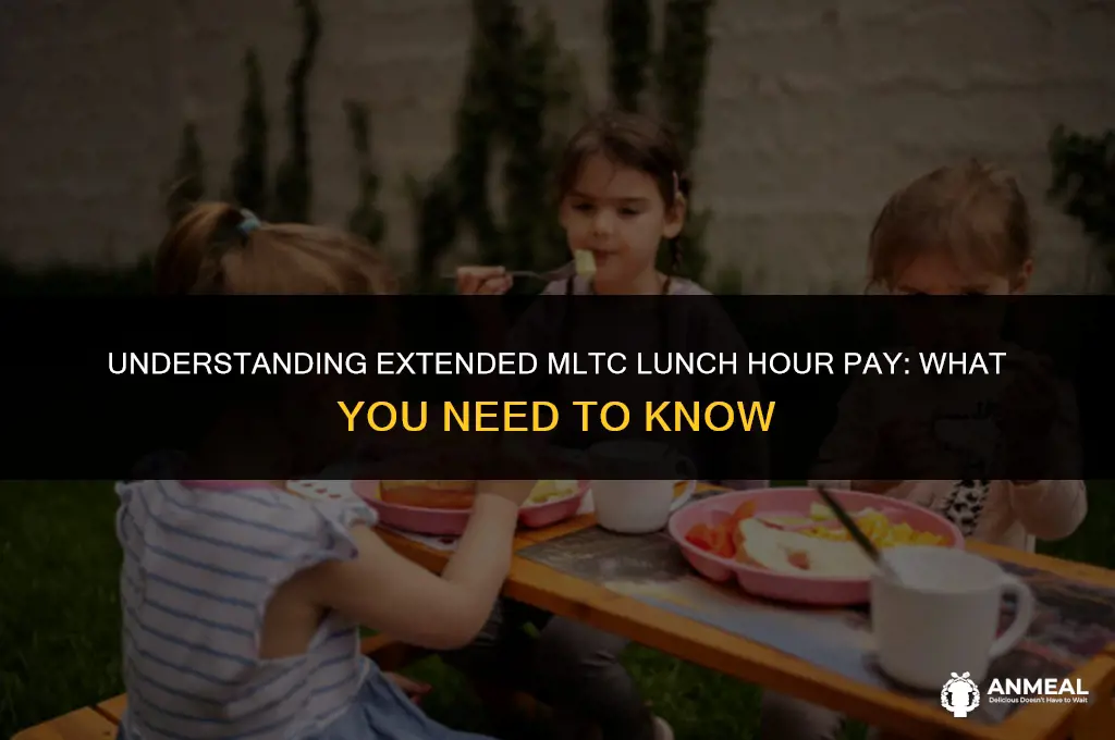 do you get paid for lunch hour extended mltc