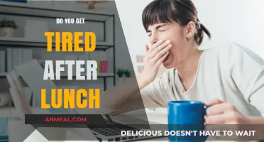 Afternoon Slump: Why You Might Feel Tired After Lunch