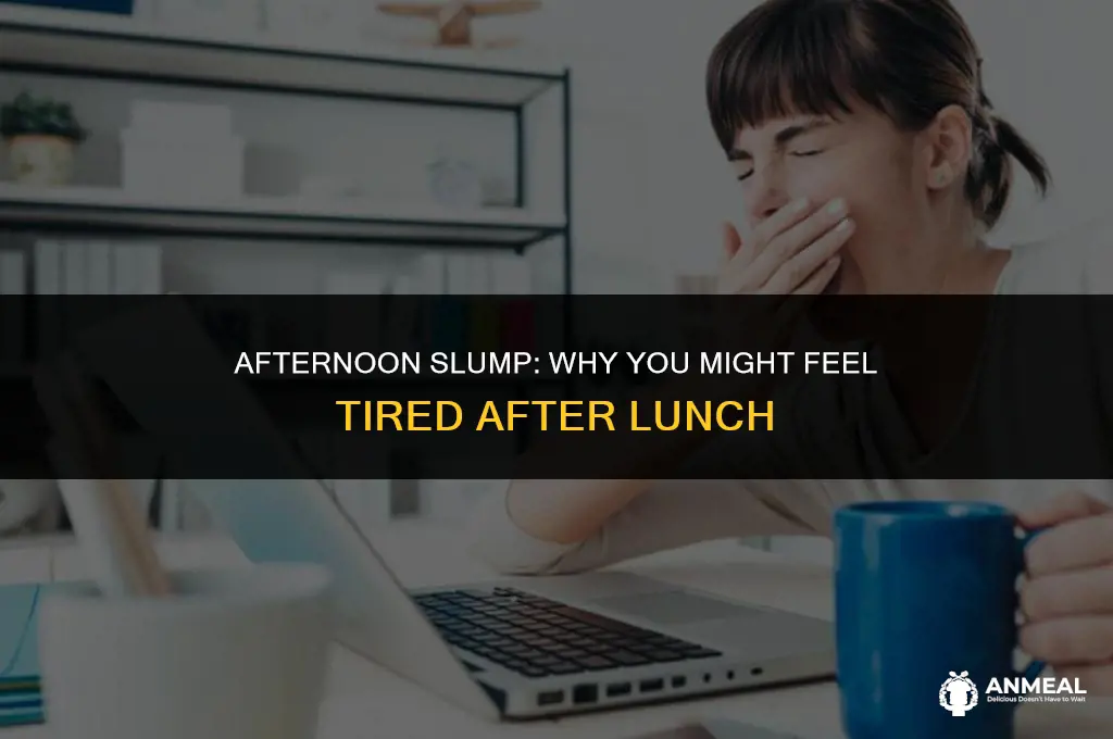 do you get tired after lunch