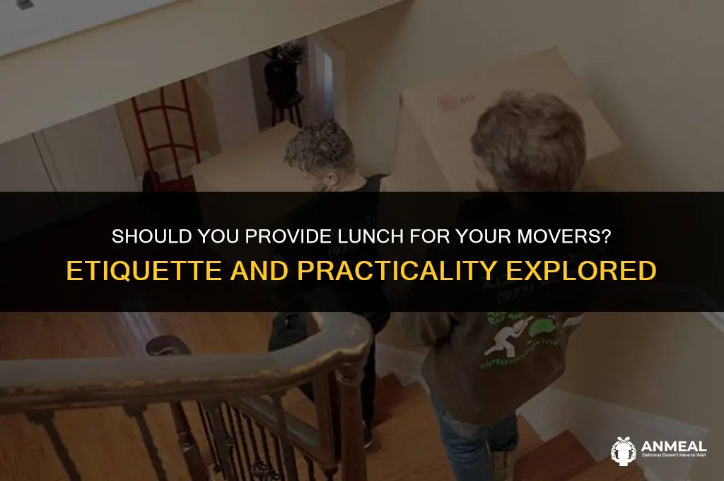do you give movers lunch