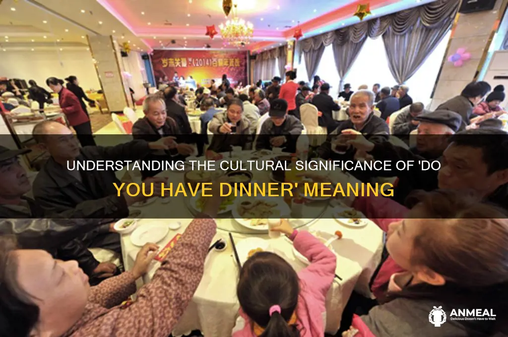 do you have dinner meaning