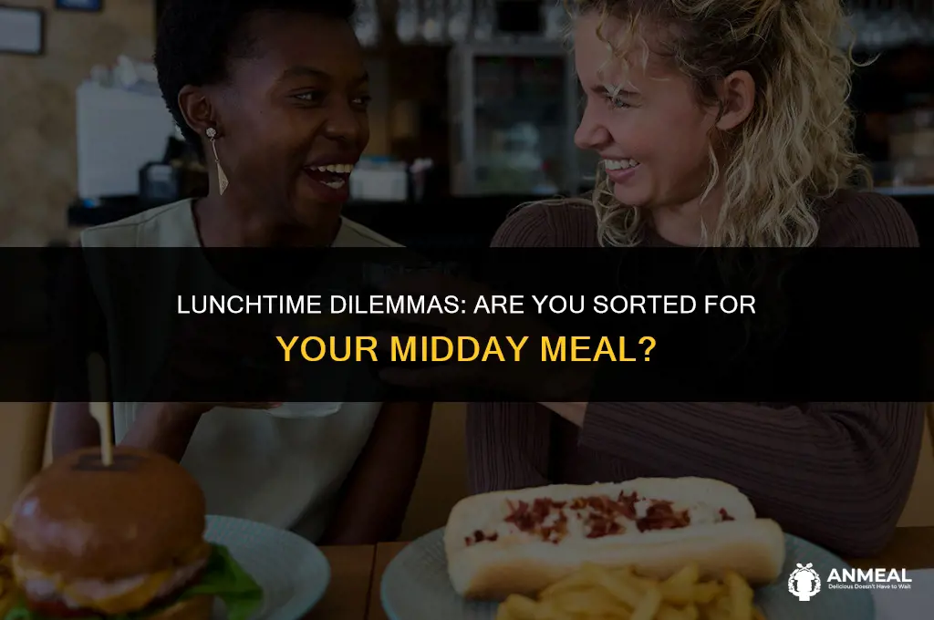 do you have lunch already