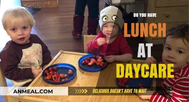 Nurturing Nutrition: Exploring Lunchtime Dynamics at Daycare Centers