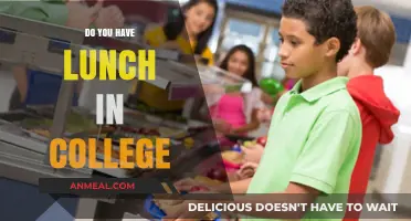 Exploring College Life: The Lunch Break Conundrum