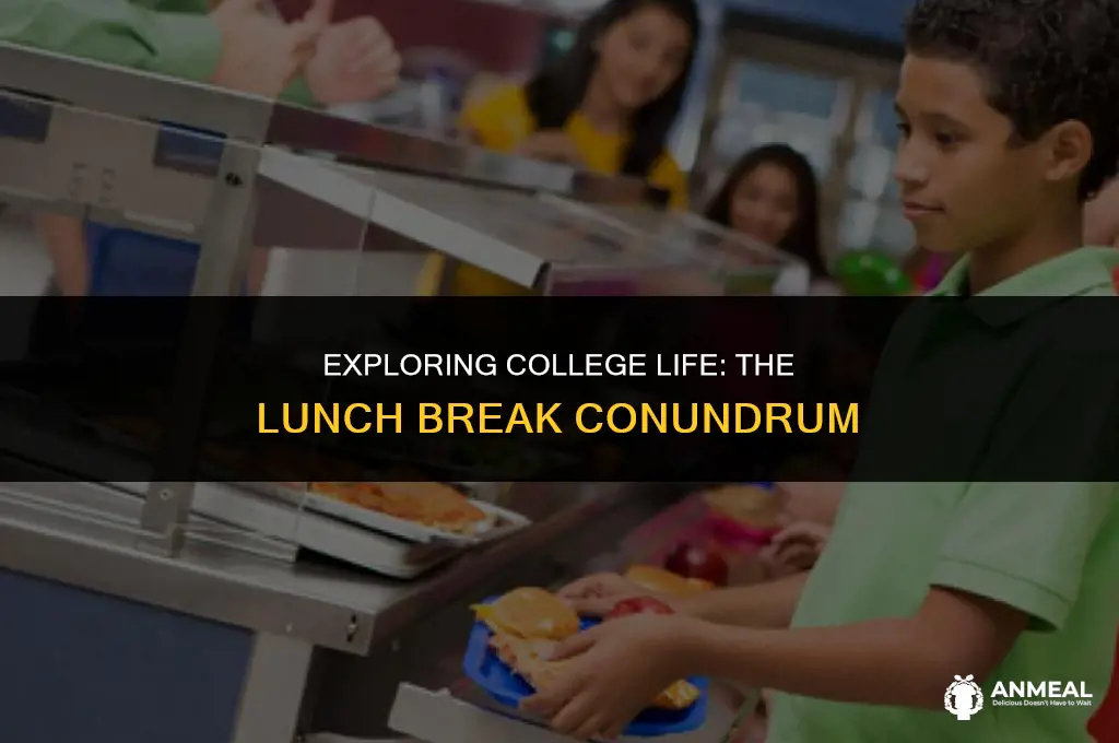 do you have lunch in college