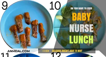 Nurturing Your Baby Nurse: Lunchtime Care Essentials