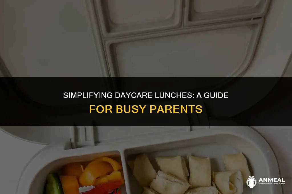 do you have to pack lunch for daycare