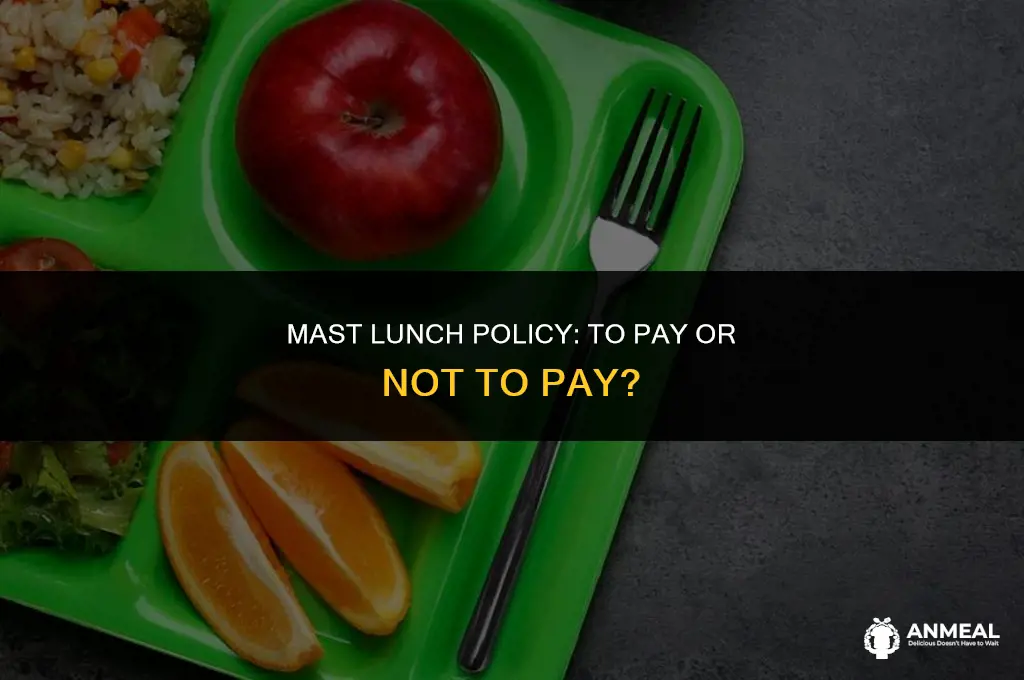 do you have to pay for lunch at mast