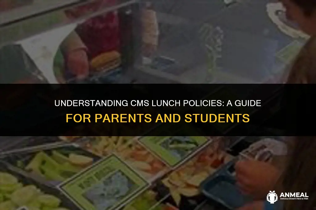do you have to pay for lunch in cms