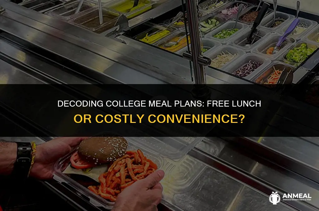 do you have to pay for lunch in college
