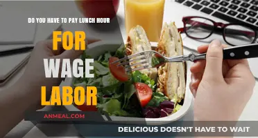Understanding Wage Labor Laws: Are You Paid for Lunch Breaks?