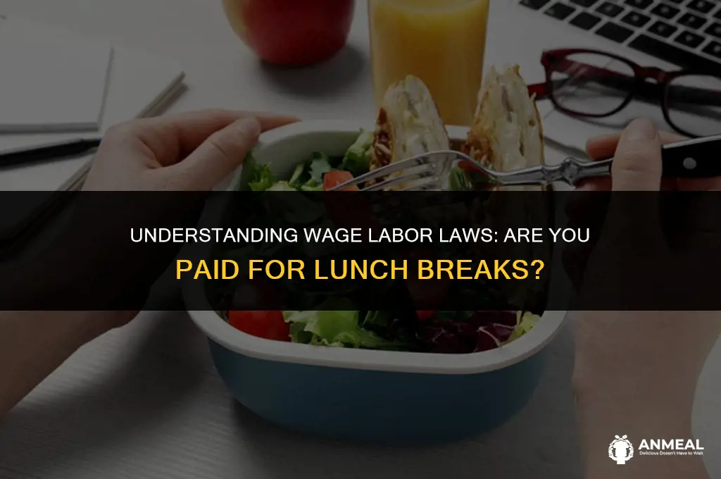 do you have to pay lunch hour for wage labor
