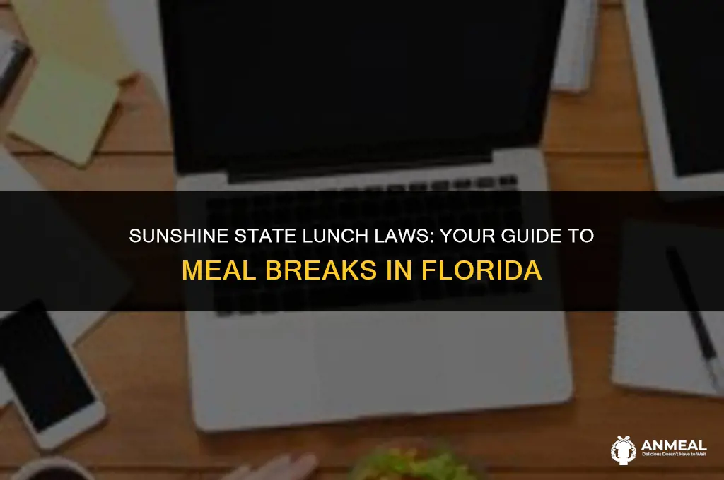 do you have to take a lunch in florida