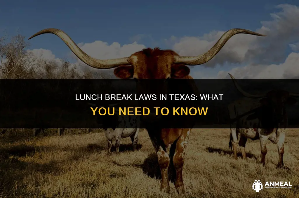 do you have to take a lunch in texas