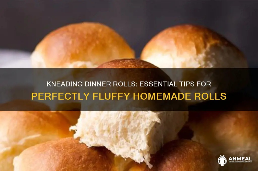 do you knead dinner rolls