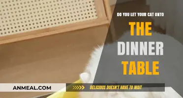 Should Cats Join Family Meals? The Dinner Table Debate